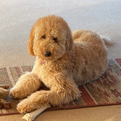 LJ86301's profile picture. 