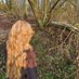 Ihre Pestilenz (@kieinod) Twitter profile photo Ihre Pestilenz (@kieinod) Twitter profile photo