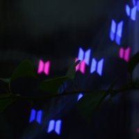 raindrops π (@raindropstiel) 's Twitter Profile