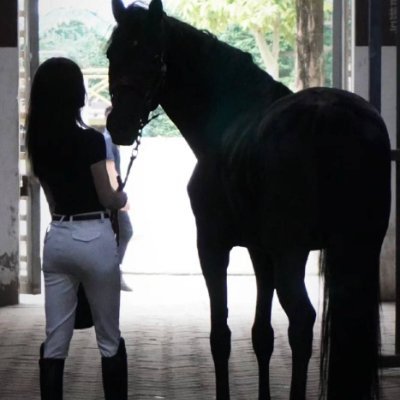 Doing some things is like self-abuse, such as horseback riding. Your whole body will be sore after riding a horse, but the fun outweighs the pain after all.