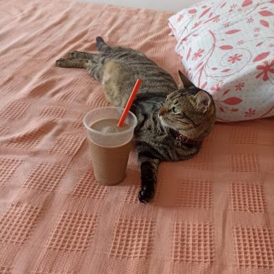 killorgays's profile picture. 