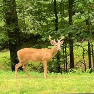 3317_tams2's profile picture. 🇺🇸Proud Christian🙏🏻
Conservative Patriot🇺🇸