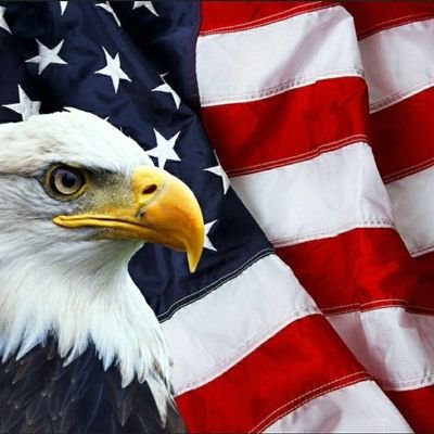 LKGodsey61's profile picture. 🇺🇲TRUMP2024🇺🇲 I Finally am back on after a long forced exit. Lost all the friends I had on here.