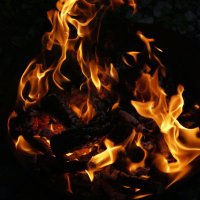 hot stuff (@ish0rny_) 's Twitter Profile Photo