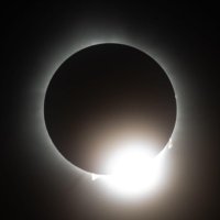 Hugh G. Rection (@hubert515) 's Twitter Profile