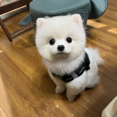 TrentcTapias's profile picture. "Happiness is not by chance, but by choice."👩👩