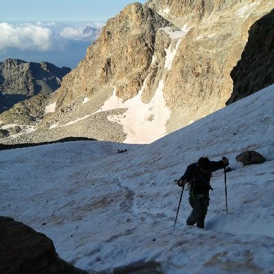 Le fou du bus qui te parle du la recherche en arborescence de Monte Carlo