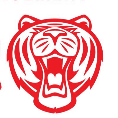Roar—DEEP TECH-redefining fan engagement at stadiums through interactive tech. Bridging the gap between teams and fans. #SportsTech #FanExperience