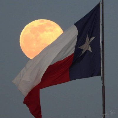 Voice_OfReality's profile picture. 