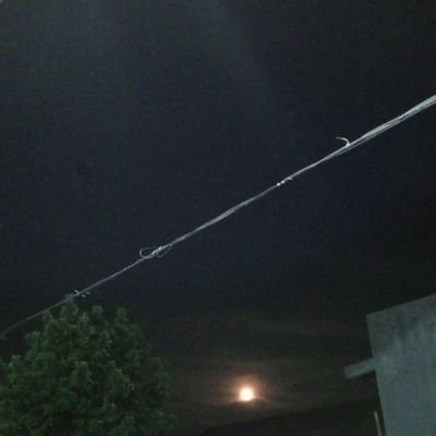 BalapGenje88242's profile picture. 