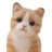 cat2050028's profile image