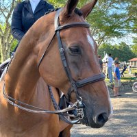 Julie Shea, NP (@ariat104) 's Twitter Profile Photo Julie Shea, NP (@ariat104) 's Twitter Profile Photo