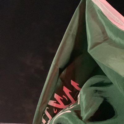 1nless's profile picture. 