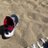 Bizzy205743's profile image