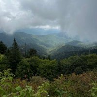TritardFinder (@brick_00_window) 's Twitter Profile