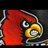 CoachPolly's profile image