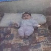 arkadas xezal (@zerqaloo) Twitter profile photo