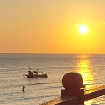 cimicims's profile picture. 👧