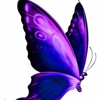 clhs24's profile picture. I love you 💜💜💜