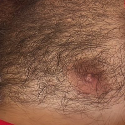 SeattleColtGuy's profile picture. Permanently in PV. If your ass is hairy I’m probably obsessed with it! I’m begging you, please don’t shave your ass or hole! Please!