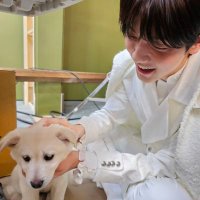 Andy (@andylvssoobin) 's Twitter Profile