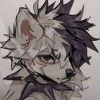 Shr00m π (@shr00m_burner) 's Twitter Profile