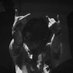 z⁷ - closed new acc in bio Profile picture