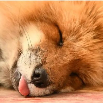 Carl_XB's profile picture. Pour light and dew, wait for the flowers to bloom