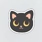 람지 🐈‍⬛🐇さんのプロフィール画像