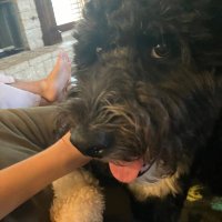 Todd Rosenthal (@toddrosey) 's Twitter Profile