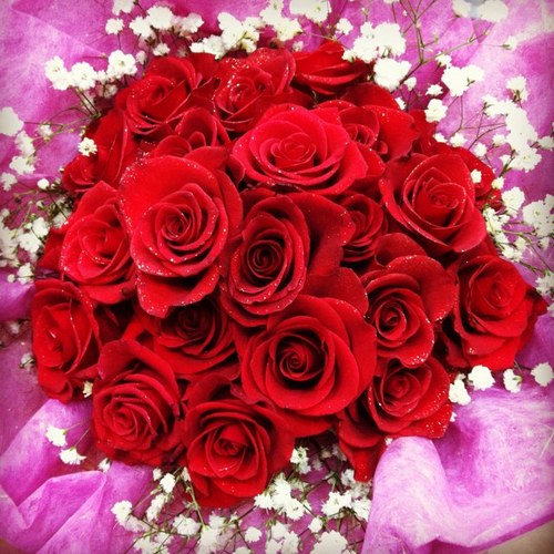 Helloisthatyou's profile picture. 