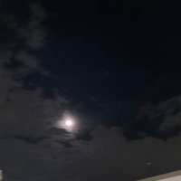 ぽろ (@mayu_frm00) 's Twitter Profile