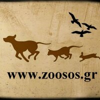 zoosos.gr(@zoosos) 's Twitter Profile Photo