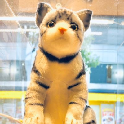 2023年10月に一度Twitterから引退しましたが、思うところがあり戻って参りました。差別問題など社会問題について色々学んでいけたらと思います。