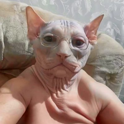 canada_sicksa's profile picture. 