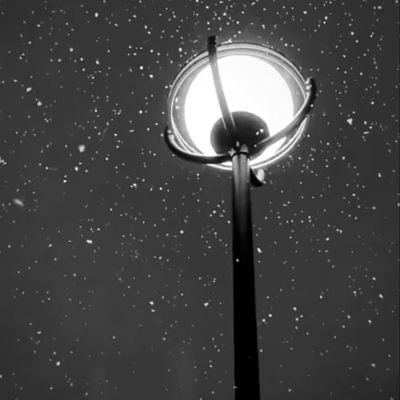 deleted1203815's profile picture. 