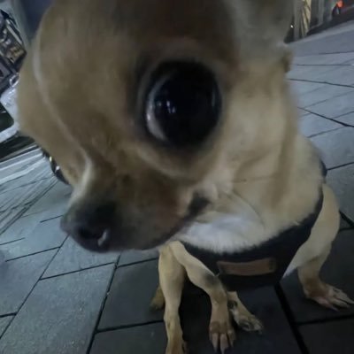 byoppym16's profile picture. เป็นคนขี้ร้อนชอบนอนห่มผ้า ピーヒャラ ピ お腹がへったよ