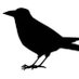 Crow_TRPG (@karatrpg) Twitter profile photo Crow_TRPG (@karatrpg) Twitter profile photo