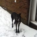 Nathan Hirsch - @naffoffoly - Twitter