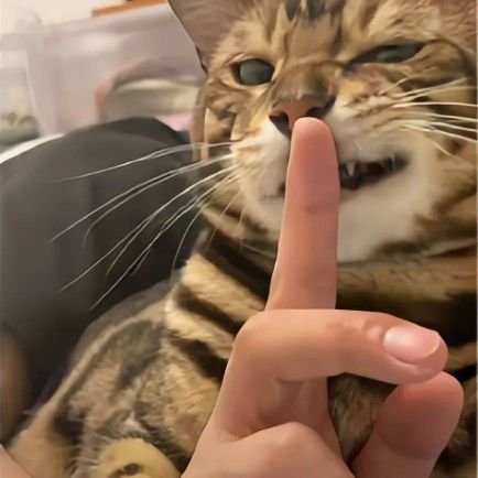 pini08769361's profile picture. 海の向こうには何があるのか？