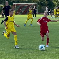 Fraser Tulloch (@ftulloch) 's Twitter Profile