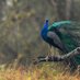 state of nature (@vikasgadwal11) Twitter profile photo state of nature (@vikasgadwal11) Twitter profile photo