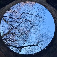 rupertnewton (@bklyn_newton) 's Twitter Profile