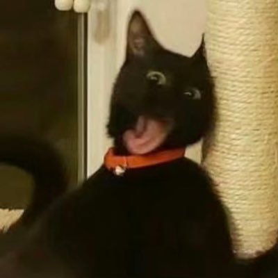 Oorrangeee39's profile picture. 