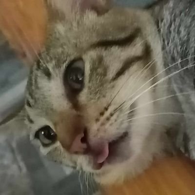17 monthsさんのプロフィール画像