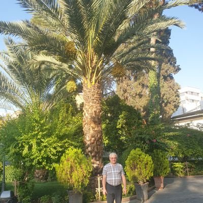 mk13715524's profile picture. 