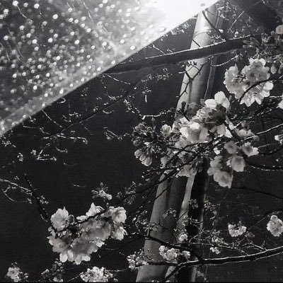 ？さんのプロフィール画像