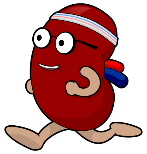 free cartoon kidney clipart - photo #27