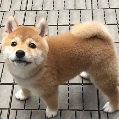 ero_sarasu's profile picture. freak freak freak