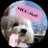 nicho_nicho0709
